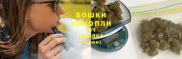 крисы Бугульма