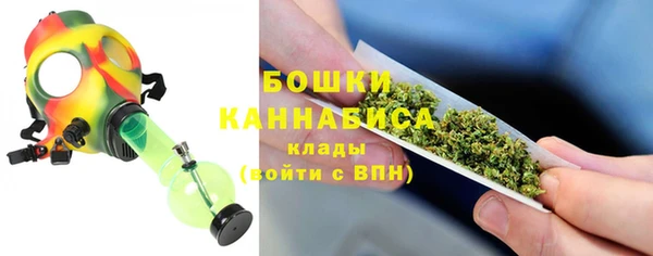 метадон Белокуриха