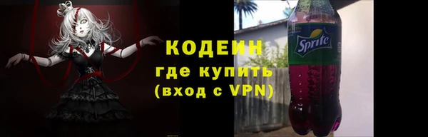 дживик Бронницы