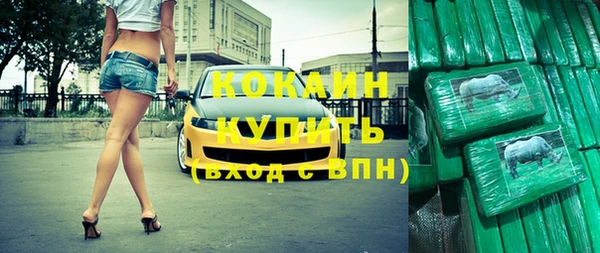 дживик Бронницы