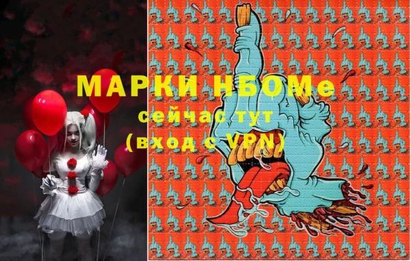 дживик Бронницы
