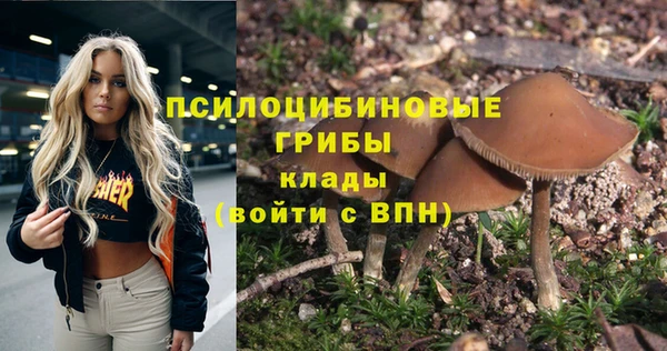 крисы Бугульма