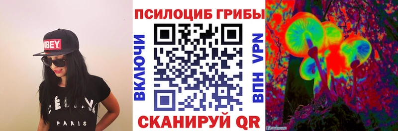 mega ССЫЛКА  дарнет шоп  Заозёрный  Галлюциногенные грибы мицелий 