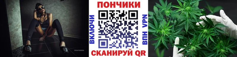 Шишки марихуана марихуана  Заозёрный 